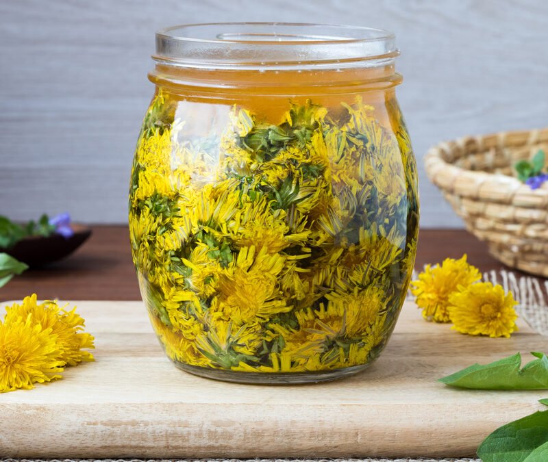 Dandelion Sweet Syrup