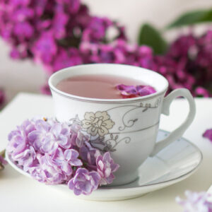 Organic Lilac Daydream