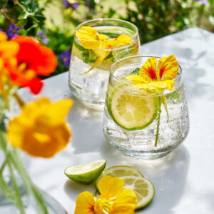 Nasturtium flower floating in a summer cocktail with citrus