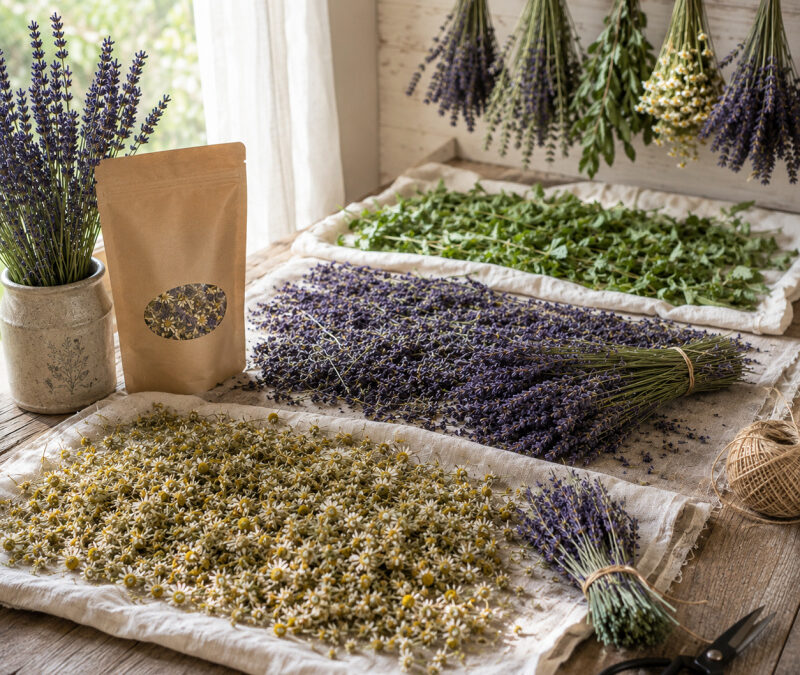 Drying Summer Flowers