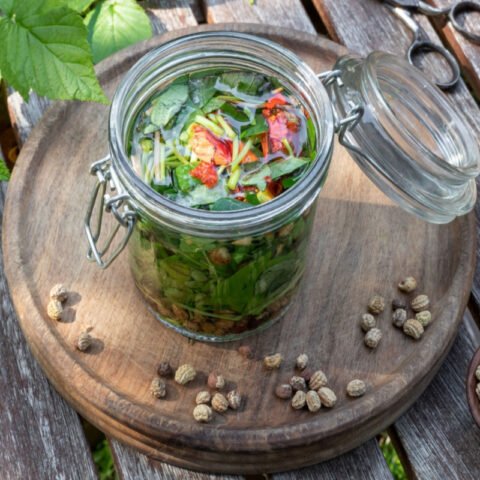 Nasturtium Caper Vinegar