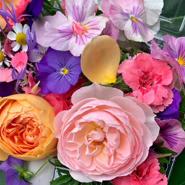 Organic Fresh Edible Flowers