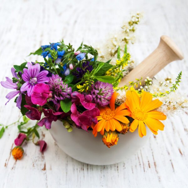 Organic Fresh Edible Flowers Culinary Blossom