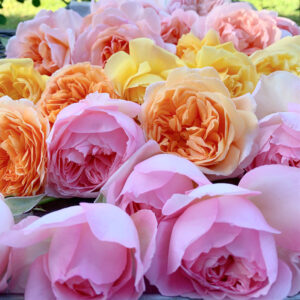 Flavours vary from sweet and floral to fruity and spicy.